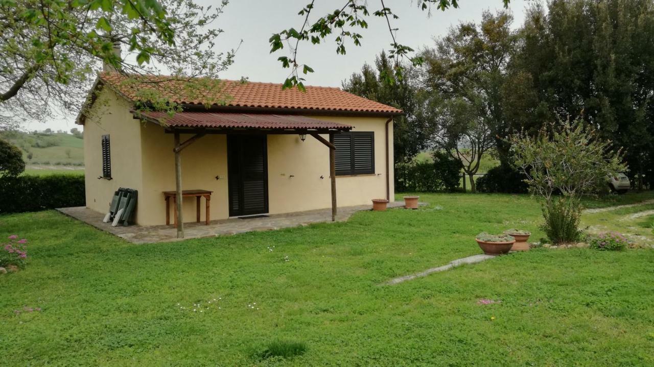 Agriturismo Cavallin Del Papa Capalbio Exterior photo